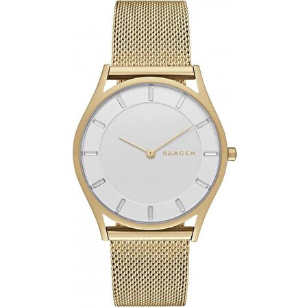 SKAGEN SKW2377 