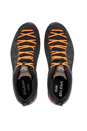 Salewa Mtn Trainer 2 GTX Erkek Ayakkabı