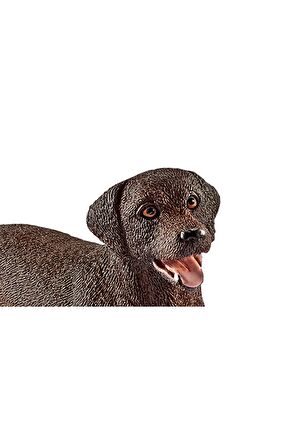 Schleich Dişi Labrador Retriever