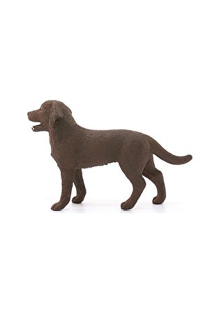 Schleich Dişi Labrador Retriever