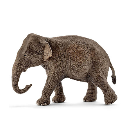 Schleich Dişi Asya Fili 17001