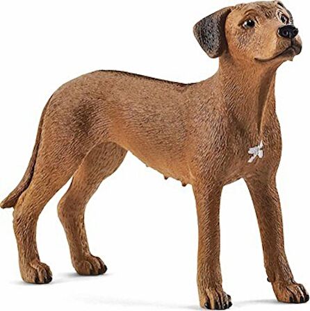 Schleich Rodezya Köpek Figürü