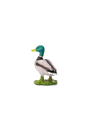 Schleich Erkek Ördek