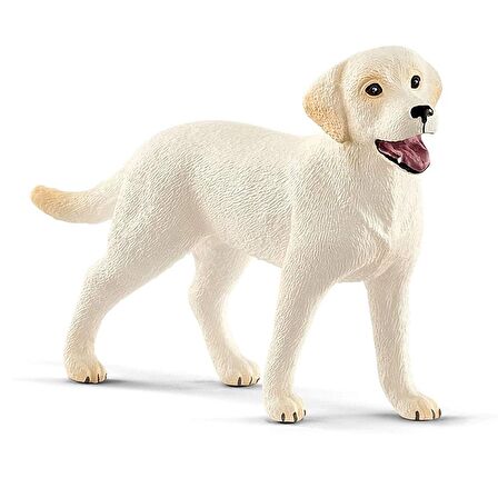 Schleich Labrador ile Yürüyüş 42478