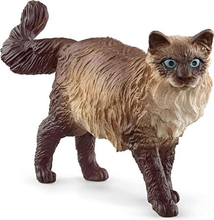 ToysAll Schleich Ragdoll Kedi 13940