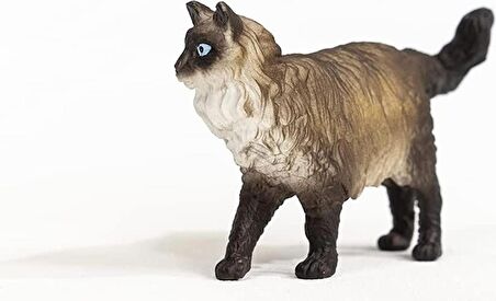 ToysAll Schleich Ragdoll Kedi 13940