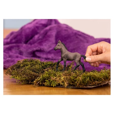 Schleich Paso Peruano Tayı 13954