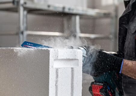 Bosch Expert S 1141 HM Gözenekli Beton İçin 225 mm Panter Testere 2608900408