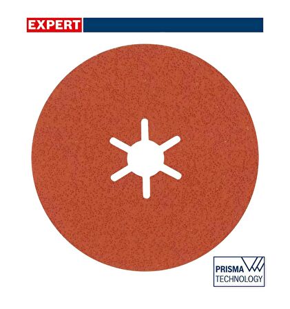 Bosch R782 Expert 100 mm 60 kum Paslanmaz Disk Zımpara 2608621817