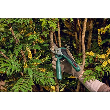 Bosch EasyPrune Akülü Budama Makası 25mm