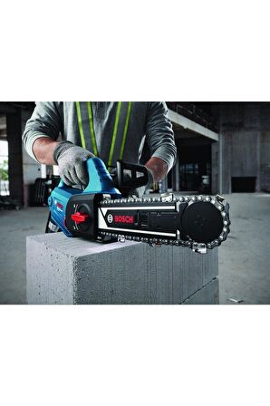 Bosch GAC 250  PANTER TESTERE