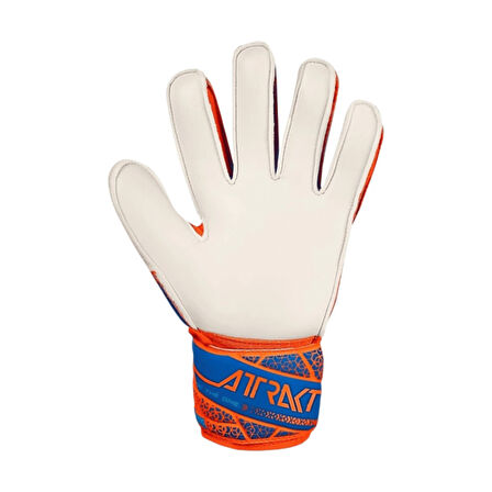 Reusch Attrakt Solid Kaleci Eldiveni 5570515-2290