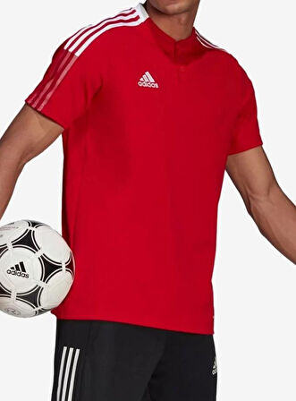 Adidas Tiro21 Polo Erkek Polo Yaka Tişört