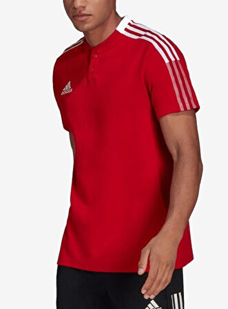 Adidas Tiro21 Polo Erkek Polo Yaka Tişört