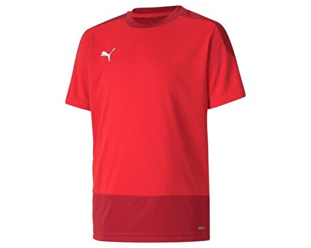 Puma Teamgoal 23 Training Jersey Erkek Futbol Forması 65648201 Kırmızı