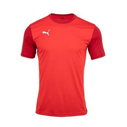 Puma 656484-04 Teamgoal 23 Sıdelıne Tee 