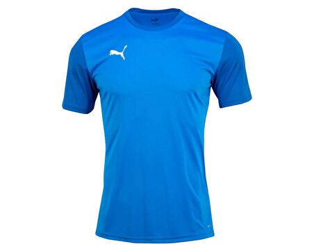 Puma Teamgoal Erkek Futbol Tişörtü 65648402 Mavi