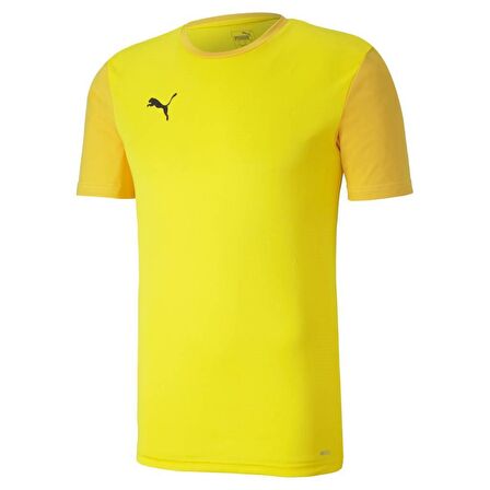 Puma Erkek Tişört Team Goal 23 Sideline 65648407