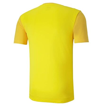 Puma Erkek Tişört Team Goal 23 Sideline 65648407