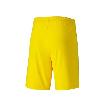 Puma 704262 Teamgoal 23 Knıt Shorts