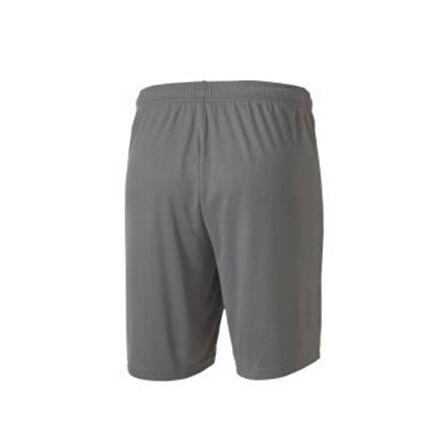 Puma 704262 Teamgoal 23 Knıt Shorts