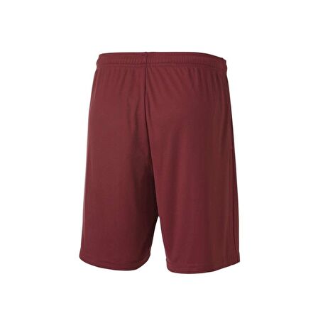 Puma 704262 Teamgoal 23 Knıt Shorts