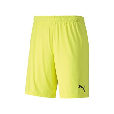 Puma 704262 Teamgoal 23 Knıt Shorts