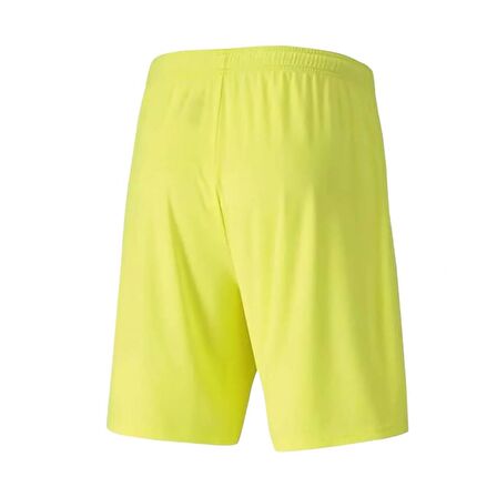 Puma 704262 Teamgoal 23 Knıt Shorts