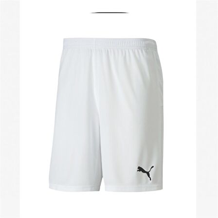 Puma 704262 Teamgoal 23 Knıt Shorts