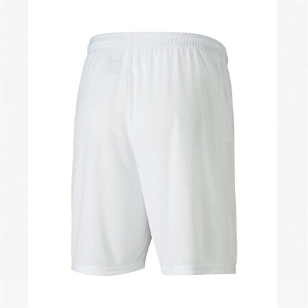 Puma 704262 Teamgoal 23 Knıt Shorts