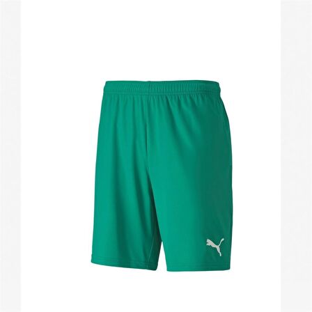 Puma 704262 Teamgoal 23 Knıt Shorts