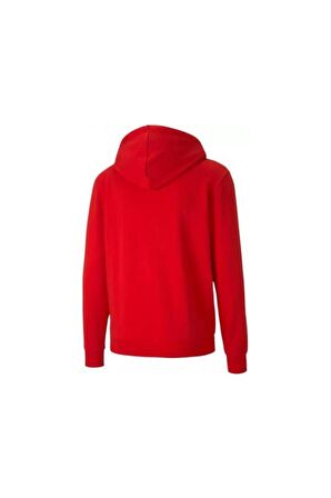 Puma Teamgoal 23 Casuals Hooded Jacket 65670801 Erkek Sweatshirt