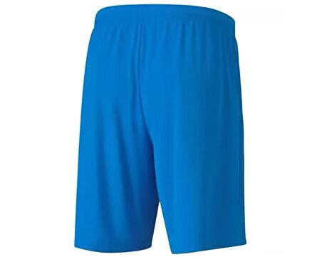Puma Teamgoal 23 Knit Shorts Erkek Futbol Maç Şortu 70426202 Mavi
