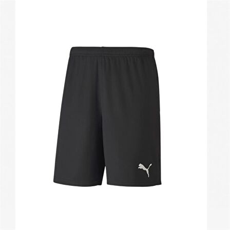 Puma 704262 Teamgoal 23 Knıt Shorts