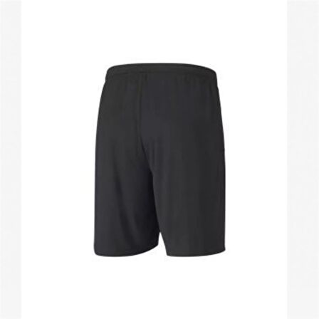 Puma 704262 Teamgoal 23 Knıt Shorts