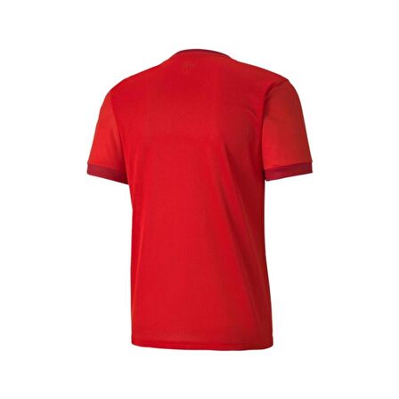 Puma 704171 Teamgoal 23 Jersey