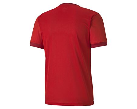 Puma Teamgoal 23 Jersey Erkek Futbol Forması 70417101 Kırmızı