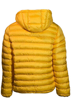 Campione 3429802 Erkek Kapşonlu Mont Yellow