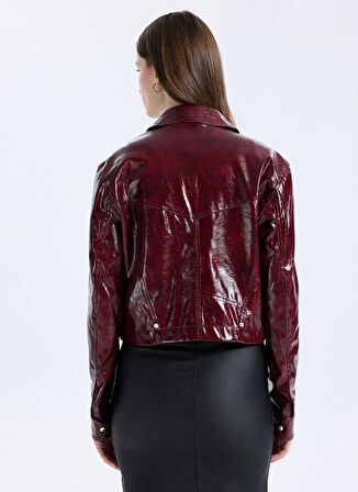 Boss Standart Bordo Kadın Ceket 50545537