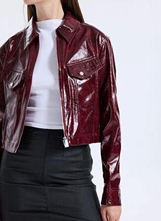 Boss Standart Bordo Kadın Ceket 50545537