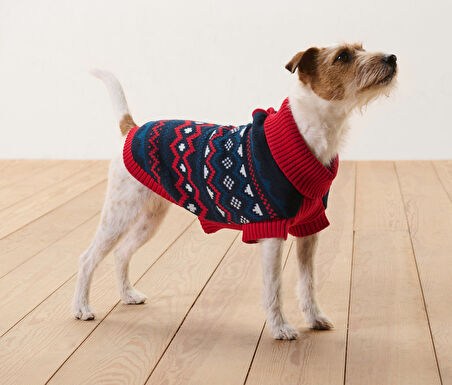 Köpek Kazağı, Geri Dönüşümlü PES