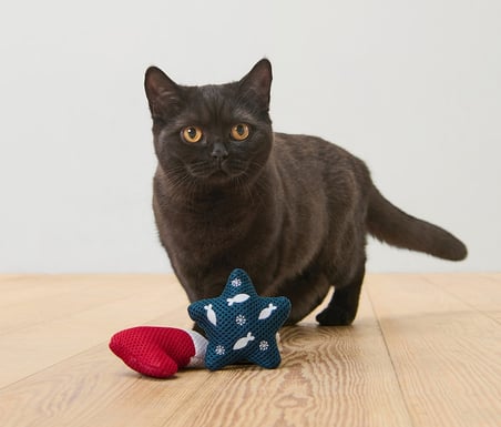 Kedi Oyuncağı, 2'li Set