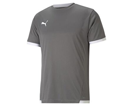 Puma Teamliga Jersey Erkek Futbol Forması 70491713 Gri