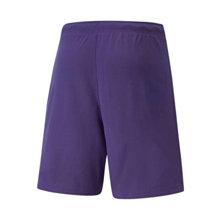 Puma 704942 Teamrise Short Mor