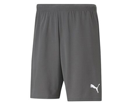 Puma Teamrise Short Erkek Şortu 70494213 Gri