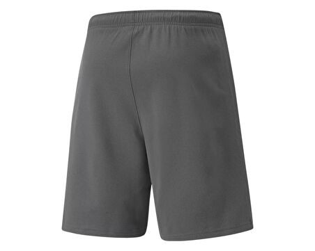 Puma Teamrise Short Erkek Şortu 70494213 Gri
