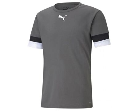 Puma Teamrise Jersey Erkek Futbol Forması 70493213 Gri