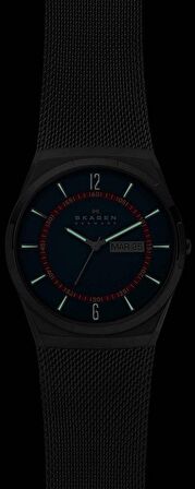 Skagen SKW6787