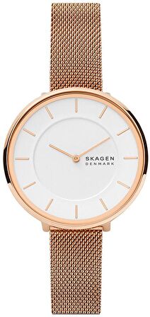 Skagen Skw3013 Bayan Kol Saati