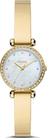 Fossil BQ3895 Kadın Kol Saati